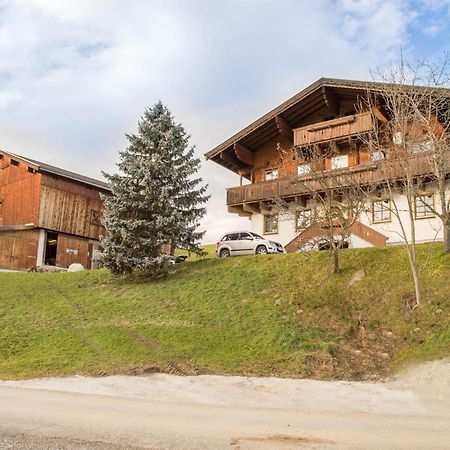 Rauchenbacher Apartments Mittersill Εξωτερικό φωτογραφία